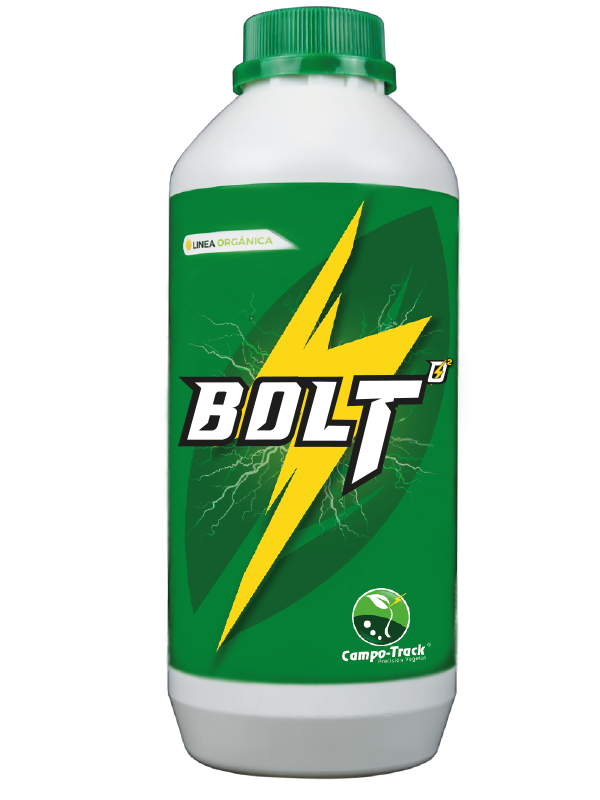 BOLT O2