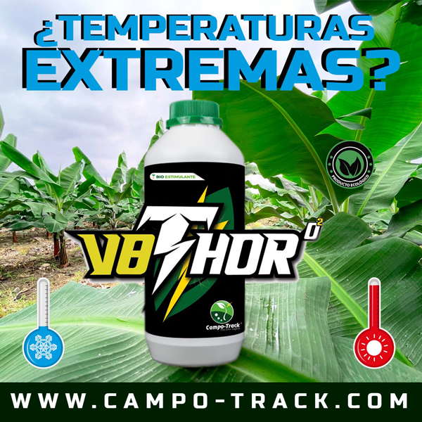 ¿Temperaturas extremas?