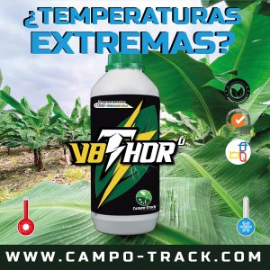Temperaturas Extremas V8