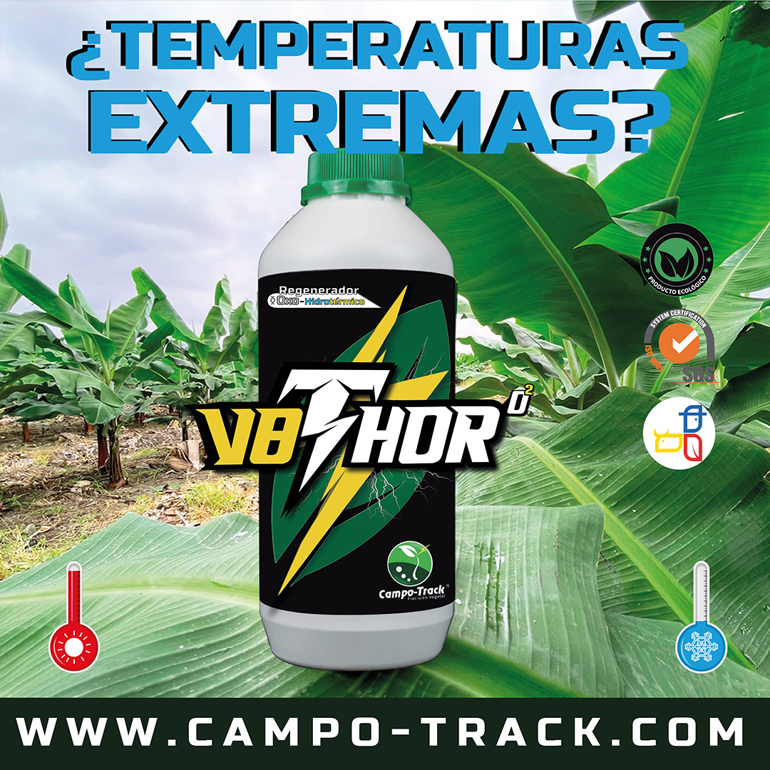 Temperaturas Extremas V8